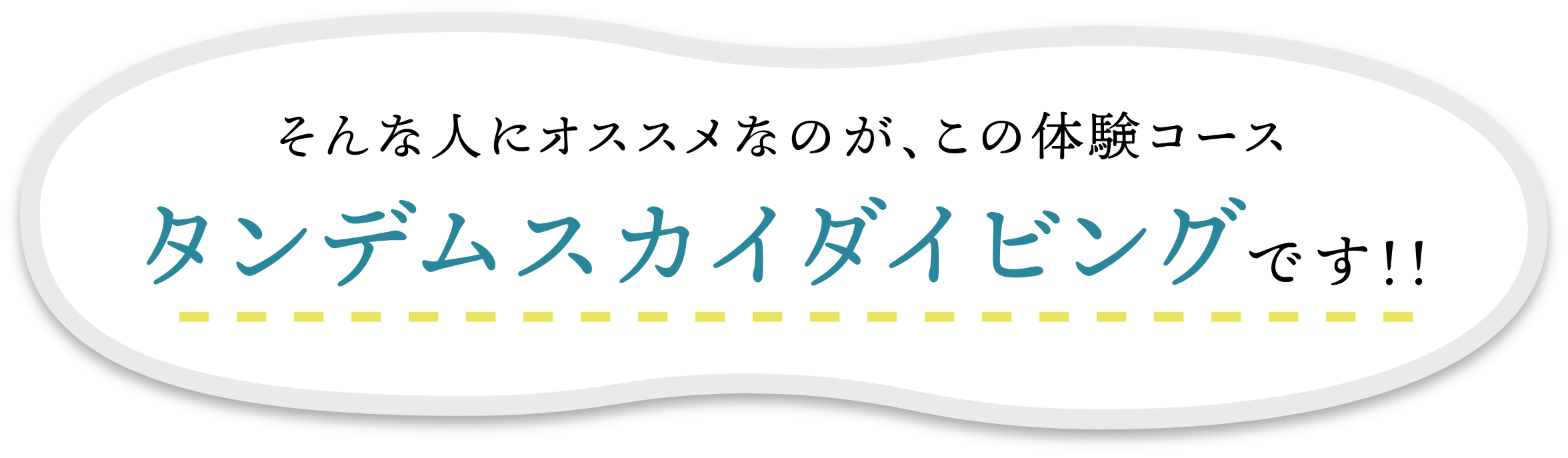 タンデムスカイダイビングとは